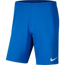 Nike BV6855-463 Mavi Spor Şort Erkek