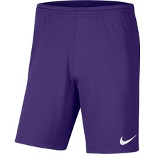 Nike BV6855-547 Mor Spor Şort Erkek