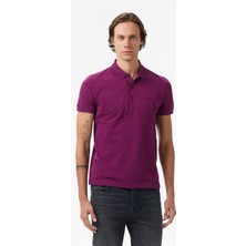 Boss Paule 4 Erkek Mor Polo