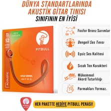 Pitbull Strings Gold Series Gag 11-52 El Takım Tel Akustik Gitar Teli 011-052