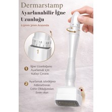 Dermotik Ayarlanabilir Dermastamp 0.25-3mm Titanyum Mikro Iğneli Saç Sakal Çıkarmaya Yardımcı ve Cilt Cihazı