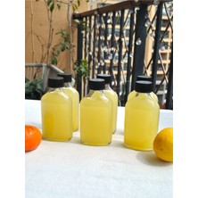 Qualitev 6\'lı 100 ml Şeffaf Yassı Cam Shot Şişesi Sızdırmaz Siyah Kapaklı Detoks Cold Brew Çok Amaçlı Şişe 100ML
