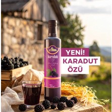 Elas Doğal Karadut Özü