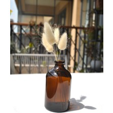 Qualitev 1 Adet Mini Vazo Amber Cam Dekoratif Minimal Cam Şişe 100 ml Iskandinav Kahverengi Vazo Seti