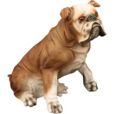 Tufy Toys Sütlü Kahve Ingiliz Bulldog Köpek Figürü- Model Hayvan Oyuncak