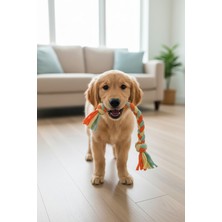Salvia Dione Köpek Isırma Oyuncağı Diş Kaşıma Çiğneme Kemirme Halatı Çekiştirme At Getir Oyun Kaşıyıcı Stres Ipi