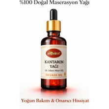 Safvital Kantaron Yağı 50 ml %100 Maserasyon Saf Doğal Yoğun Bakım Cilt Onarıcı Nemlendirici Yağ