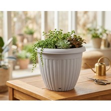 Veyla Style Dekoratif Tabaklı Yuvarlak 2,5 Lt Hacimli Saksı 17 cm