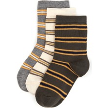 U.S. Polo Assn. Erkek Çocuk 3'lü Soket Çorap 50318042-VR027