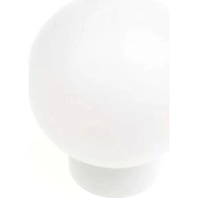 Tek-İş Tavan Glob Armatür 60 W