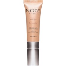 Note Mineral Concealer Kapatıcı 203