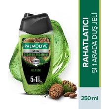 4 Adet Palmolive Sedir & Kakule Kokulu Erkek Duş Jeli 250 ml