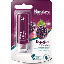 2 Adet Himalaya Böğürtlen Dudak Bakım Kremi 4.5 gr