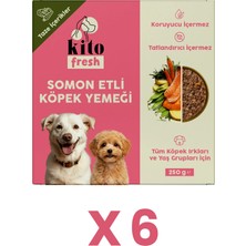 6 Adet Kito Fresh Somon Etli Köpek Yemeği %100 Taze İçerikli Mama (1,5 KG)
