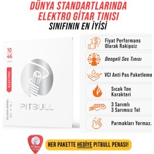 Pitbull Strings Silver Series Seg 10-46 L Takım Tel Elektro Gitar Teli