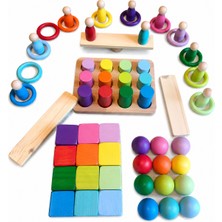 Moccotoys Montessori Eşleştirme Seti - 12 Renk