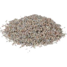 Karakız Lavanta Dökme 500 Gr