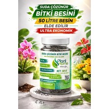 Plant Home Power Mix (50 Gr) Suda Çözünür Bitki Besini – Konsantre Salon ve Orkide Besini + Sprey Şişe Hediyeli