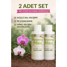 2 Adet Dal ve Çiçek Destekleyici Premium Besin 100 ml – Güçlü Dal Gelişimi ve Iri Çiçeklenme
