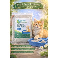 Bentonit Kedi Kumu 5 Litre – Doğal Topaklanan, Güçlü Koku Kontrolü, Yüksek Emilim