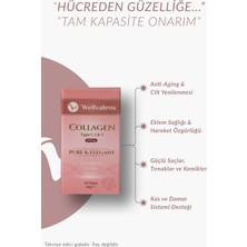Wellvalens Pure & Elegant Collagen 1000 mg Tip 1-2-3 - 30 Tablet - Hyaluronik Asit, Biotin, Vitamin C
