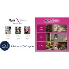 Papia Asmalı Havlu 250 Li*3