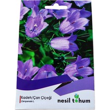 Nesil Tohum Kadeh/çan Çiçeği Tohumu 100 Adet