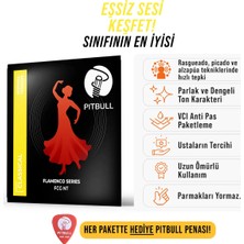 Pitbull Strings Flamenco Seri Normal Tansiyon Klasik Gitar Teli  Fcg Nt