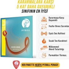 Coated Seri Akustik Gitar Teli Cag 10-47 Sl