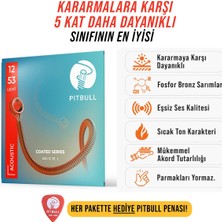 Coated Seri Akustik Gitar Teli Cag 12-53 L