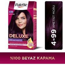 2 Adet Palette Deluxe Saç Boyası 4-99 Ametist Moru