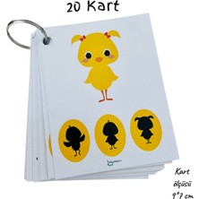 Loyameri Kidsshop Gölge Eşleme Kartları