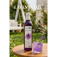 Karadut Dünyası Lavanta Özü 700 gr Doğal İyileştirici Özellikleri ile Stres ve Tansiyonu Dengeleyici
