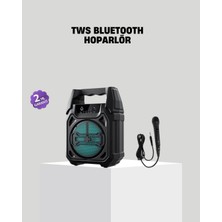 Renklime 6.5 Inç Bluetooth Hoparlör Mikrofonlu Taşınabilir Karaoke ve Parti Sistemi