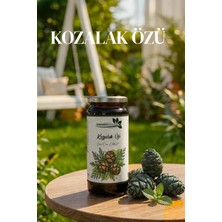 Karadut Dünyası Kozalak Özü 650 gr