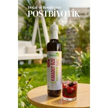 Karadut Dünyası Postbi̇yoti̇k Karadut Özü 700 Gr.