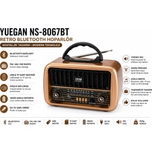 GUNKES Nostaljik Retro Bluetooth Hoparlör Nns NS-8067BT | Güçlü Ses, Çok Bant Radyo, USB & Tf