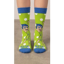 Neşeli Çoraplar Neşe Renkli Unisex Çorap
