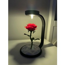3D Snaxx Dekoratif LED Işıklı Gül Figürü – Masaüstü Ortam Aydınlatması – 15X18X23CM