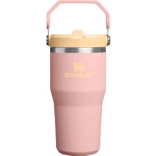 Stanley Iceflow Flip Straw Tumbler Pipetli Termos 0.60 Lt