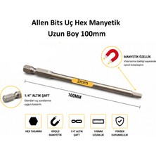 Platin Hırdavat Allen Bits Uç Uzun Boy Hex 100MM