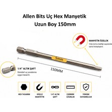 Platin Hırdavat Allen Bits Uç Uzun Boy Hex 150MM