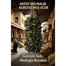 Şifakür Bitkisel Sağlık Ürünleri Şifakür Antep Güneşte Kurutulmuş Acur Dolmalık Yeni Mahsul 1 Ip 50 Adet