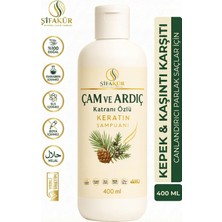 Şifakür Bitkisel Sağlık Ürünleri Şifakür Çam Ardıç Katranlı Keratin Şampuan Kepek Karşıtı Tuzsuz 400ML