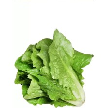 Royaleks Yedikule Marul Tohumu 10 gr