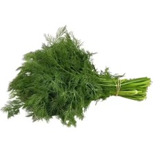 Royaleks Dere Otu Tohumu 10 gr