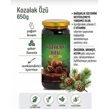 Esorya Çam Kozalak Özü 650 gr