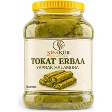 Şifakür Bitkisel Sağlık Ürünleri Tokat Erbaa Salamura Asma Yaprağı 2500G – Ince Damar, Ipeksi, Sarmalık Premium Kalite Yaprak