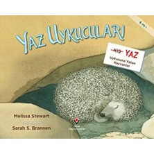 Uravas Store Yaz Uykucuları Yaz Uykusuna Yatan Hayvanlar