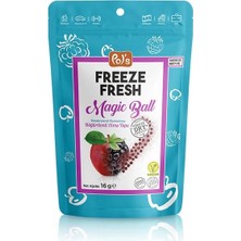 Uravas Store Mey Ithalat® Pol’s Freeze Fresh Magic Ball Böğürtlenli Elma Topu 16 gr